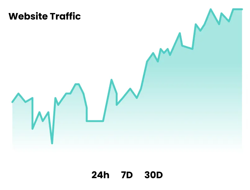 Website traffic chart showing steady growth over 24 hours, 7 days and 30 days